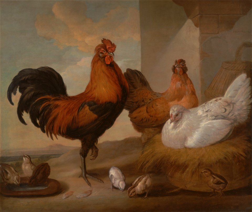 Francis Barlow - Domestic Cock, Hens, and Chicks - Google Art Project