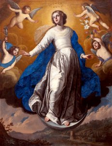 Francesco Rosa de L'immaculée conception