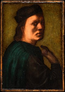 Franciabigio - Portrait of a Man - 89.7 - Detroit Institute of Arts