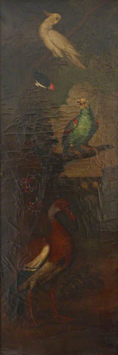 Francis Barlow (1626-1704) (style of) - Birds in a River Landscape, Including a Goose, a Cockatoo and a Green Parrot - 515718 - National Trust
