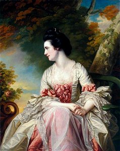 Francis Cotes (1726-1770) - Portrait of a Lady - NG4689 - Tate