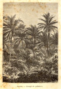 Francis Garnier - de Paris au Tibet - notes de voyage - 1882 - 006