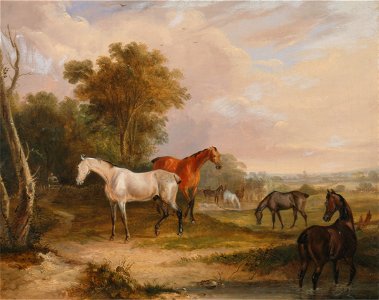 Francis Calcraft Turner - Horses Grazing- a Grey Stallion Grazing with Mares in a Meadow - Google Art Project. Free illustration for personal and commercial use.