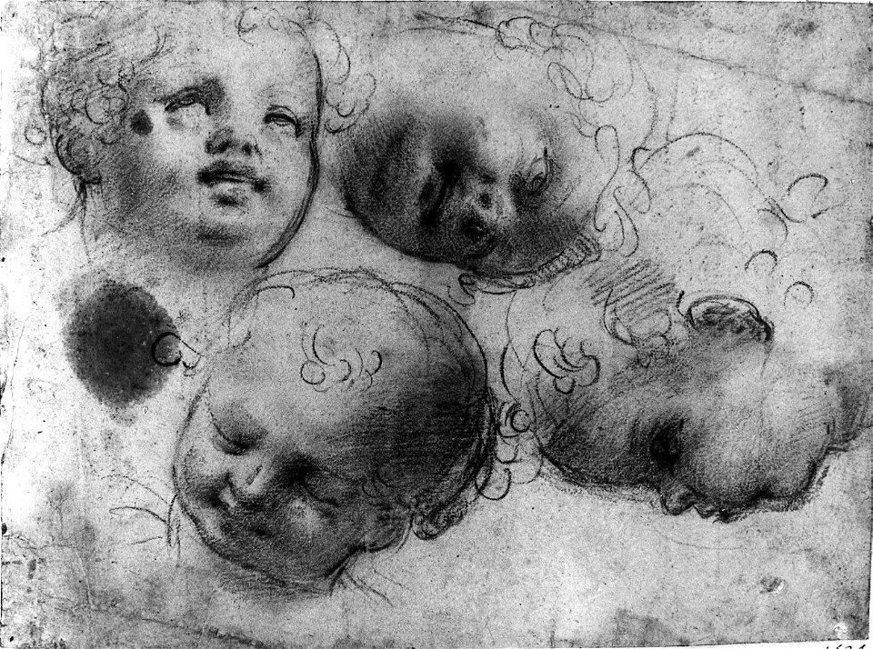 Franciabigio (attr) - Four Studies of the Head of a Child, 354