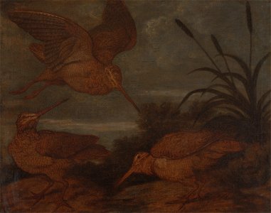 Francis Barlow - Woodcock at Dusk - Google Art Project