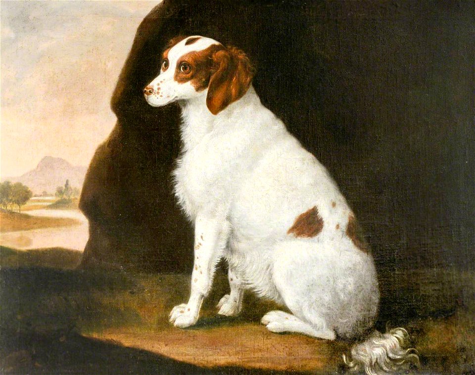 Francis Sartorius I (1734-1804) - A White and Brown Spaniel - 1420373 - National Trust