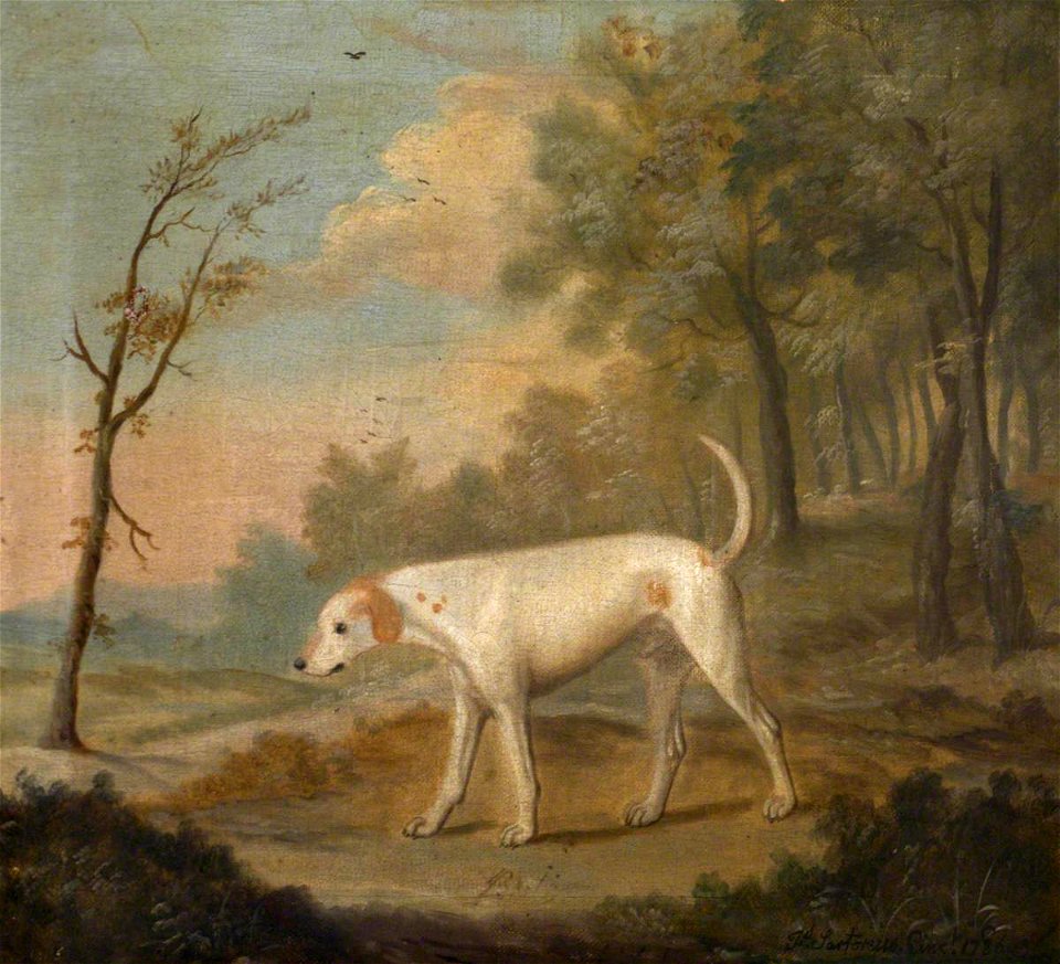 Francis Sartorius I (1734-1804) - 'Billy' (^) - 353146 - National Trust