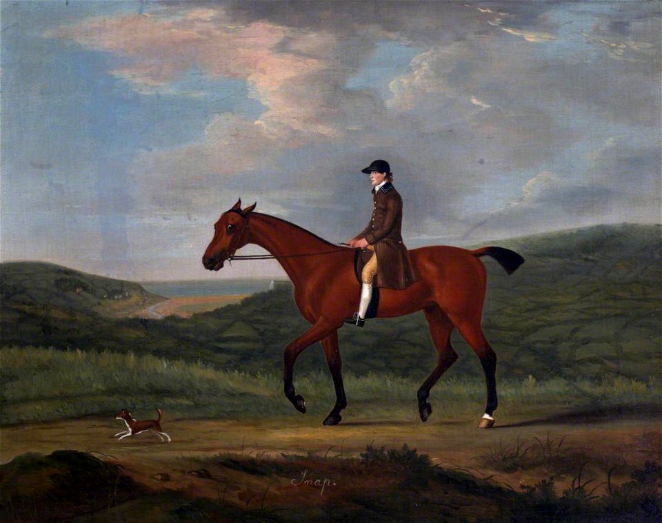 Francis Sartorius I (1734-1804) - 'Snap', a Bay Horse, with a Little Dog - 353122 - National Trust