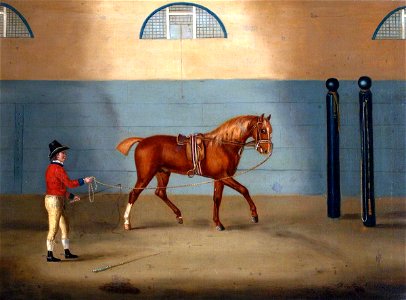 Francis Sartorius I (1734-1804) - A Chestnut Horse on a Lunge - 353115 - National Trust