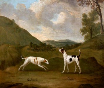 Francis Sartorius I (1734-1804) - Late-Compton's 'Dashwood' and 'Dulcet', a Pair of Hounds - 353109 - National Trust