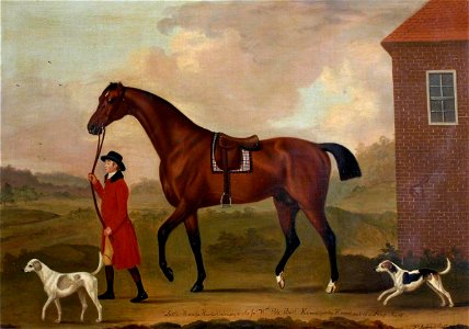 Francis Sartorius I (1734-1804) - 'Little Hero' (a Hunter), Belonging to Sir John William De la Pole, Bt - 353120 - National Trust