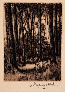 Francis Seymour Haden - Seymour-98196 - Woodland