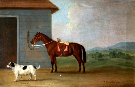 Francis Sartorius I (1734-1804) - 'Bounce', a Spaniel, with a Bay Horse - 353124 - National Trust