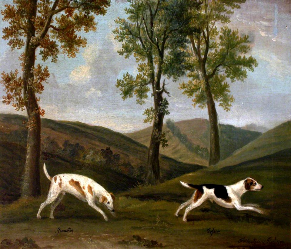 Francis Sartorius I (1734-1804) - 'Gamertes' (^) and 'Josser', a Pair of Hounds - 353110 - National Trust