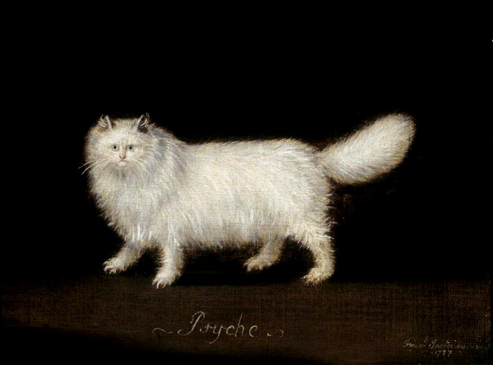 Francis Sartorius I (1734-1804) - 'Psyche', a White Persian Cat - 1449066 - National Trust