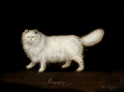 Francis Sartorius I (1734-1804) - 'Psyche', a White Persian Cat - 1449066 - National Trust