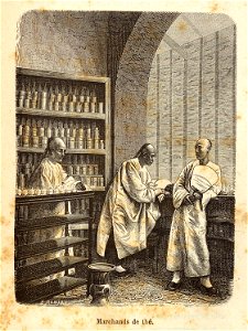 Francis Garnier - de Paris au Tibet - notes de voyage - 1882 - 041