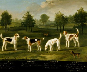 Francis Sartorius I (1734-1804) - Two Couple of Hounds in a Park Landscape with Two Terriers - 446703 - National Trust