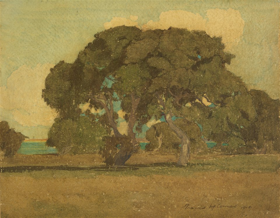 Francis McComas - Oaks of Monterey, California - P3n13 - Isabella Stewart Gardner Museum
