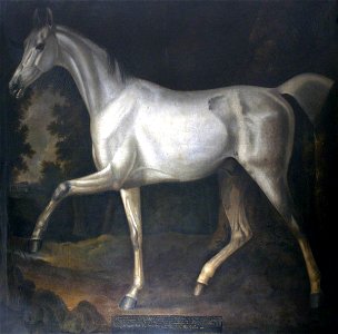 Francis Sartorius I (1734-1804) - 'Grey Bisten', Property of Sir John William De la Pole, Bt - 353155 - National Trust