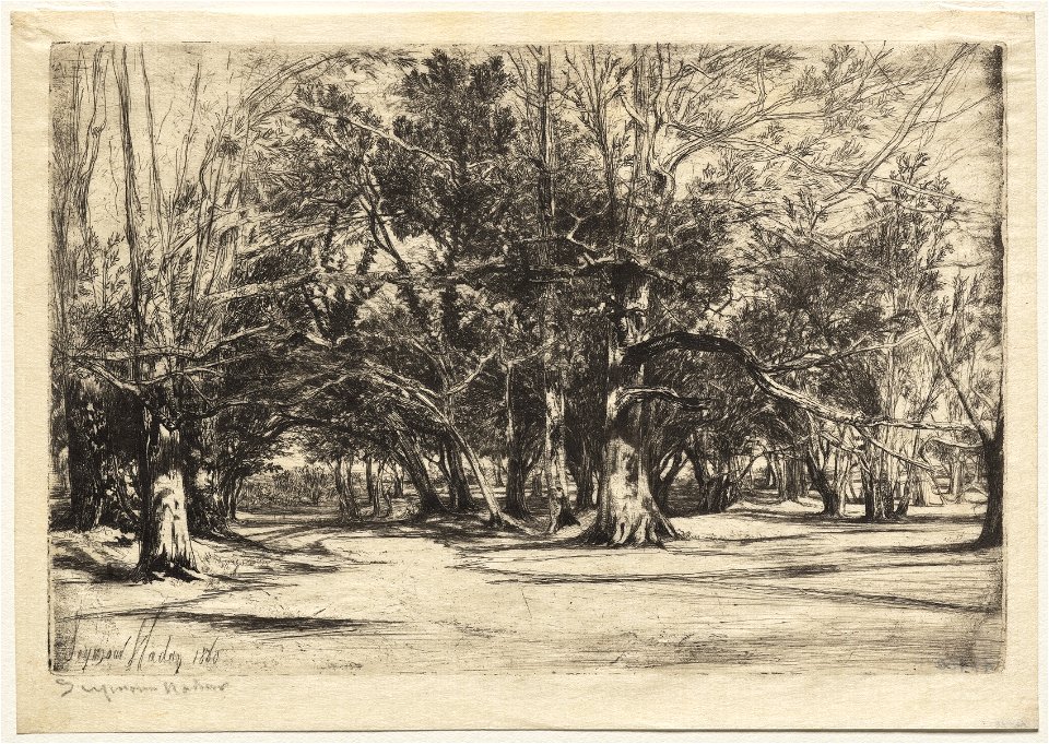 Francis Seymour Haden (British, 1818-1910) - A By-Road in Tipperary - 1947.400 - Cleveland Museum of Art