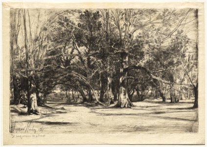 Francis Seymour Haden (British, 1818-1910) - A By-Road in Tipperary - 1947.400 - Cleveland Museum of Art