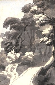 Francis Towne - The Chestnut Grove, Near Rocca del Papa Near Lake Albano - Google Art Project