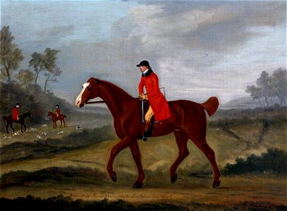 Francis Sartorius I (1734-1804) - 'Little Hero' (a Hunter), Belonging to Sir John William De la Pole, Bt - 353121 - National Trust