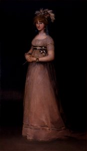 Francisco de Goya - Ritratto di María Luisa de Borbón y Vallabriga - Google Art Project