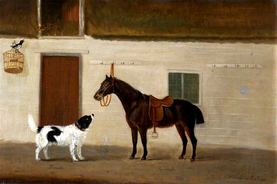 Francis Sartorius I (1734-1804) - 'Bruen', a Spaniel, and 'Squirrel', a Black Horse - 353125 - National Trust