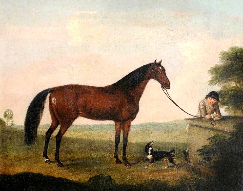 Francis Sartorius I (1734-1804) - A Brown Horse, a Spaniel and a Groom - 1420372 - National Trust