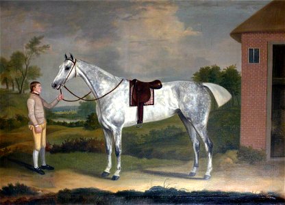 Francis Sartorius I (1734-1804) - 'Fury', a Dappled Grey with His Groom - 353105 - National Trust