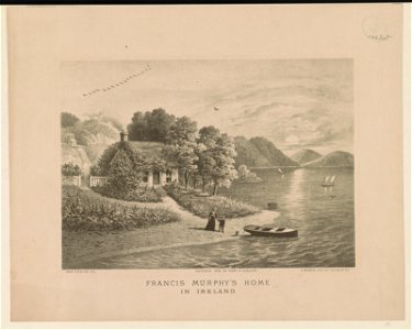 Francis Murphy's home in Ireland LCCN2003680080