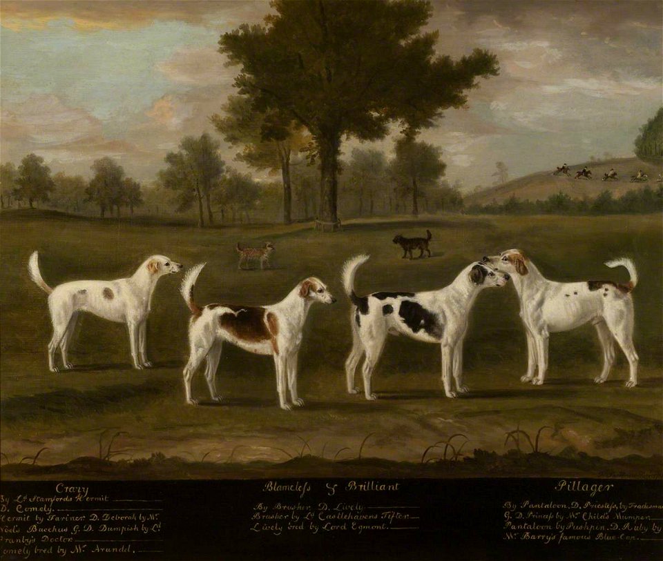 Francis Sartorius I (1734-1804) - Two Couple of Foxhounds in a Park Landscape with Two Terriers - 446702 - National Trust