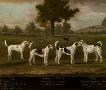 Francis Sartorius I (1734-1804) - Two Couple of Foxhounds in a Park Landscape with Two Terriers - 446702 - National Trust