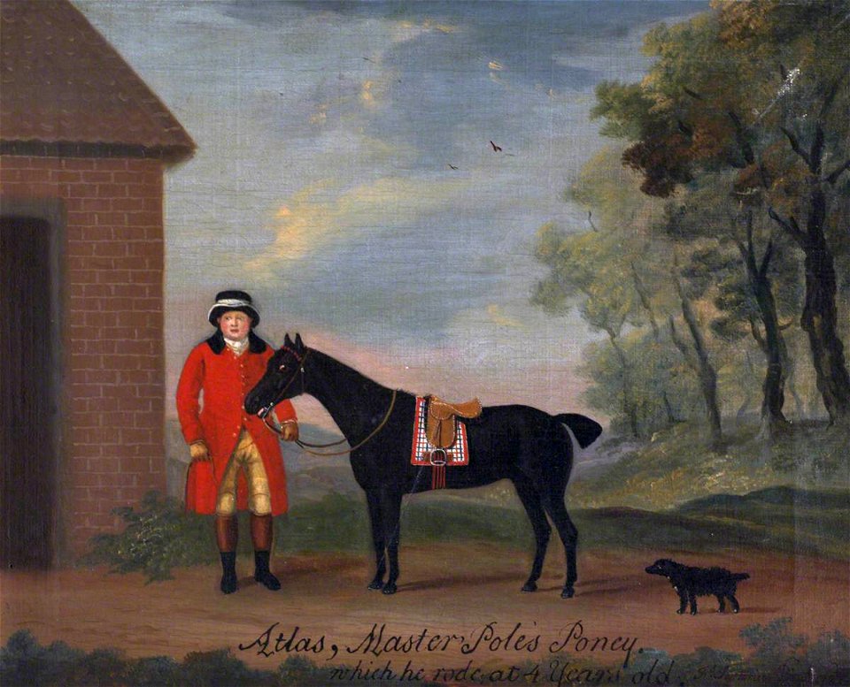 Francis Sartorius I (1734-1804) - 'Atlas', Master Pole's Pony, Which He Rode at 4 Years Old - 353143 - National Trust