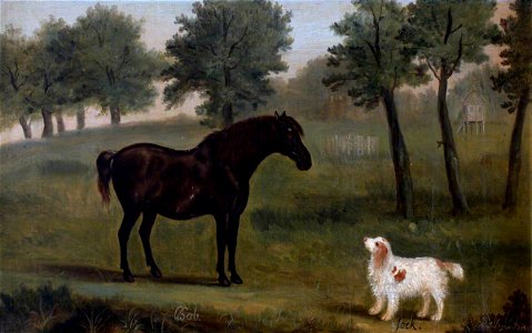 Francis Sartorius I (1734-1804) - 'Bob', a Black Horse, and 'Jock', a Spaniel - 353107 - National Trust
