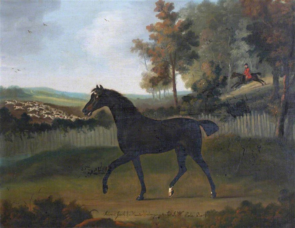 Francis Sartorius I (1734-1804) - 'Silver Jack' (a Hunter), Belonging to Sir John William De la Pole, Bt - 353118 - National Trust