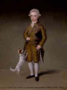 Francisco de Goya - Don Vicente Isabel Osorio de Moscoso y Álvarez de Toledo, Conde de Trastámara - 2016.78 - Museum of Fine Arts, Houston