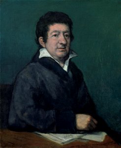 Francisco de Goya - Portrait of the Poet Moratín - Google Art Project