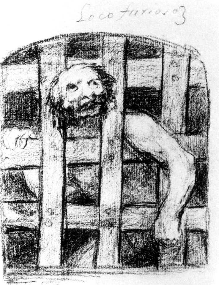 Francisco de Goya y Lucientes - A Lunatic behind Bars - WGA10170