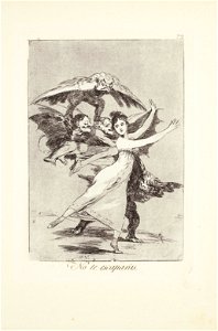 Francisco de goya y lucientes you will not escape plate 72 from los ca084637)