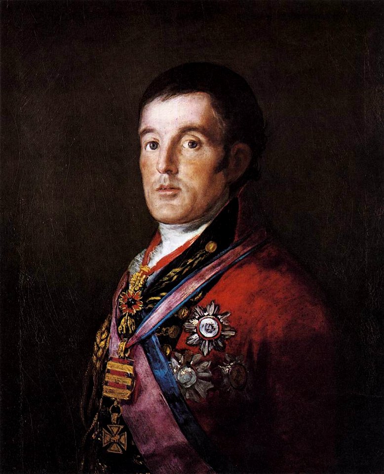 Francisco de Goya y Lucientes - Portrait of the Duke of Wellington - WGA10074