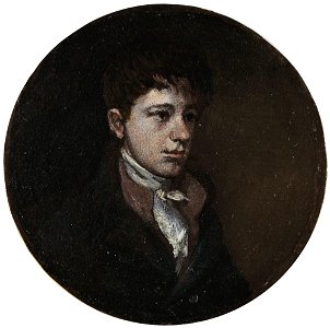 Francisco Javier Goya y Bayeu (Museo de Zaragoza)