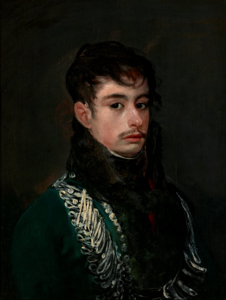 Francisco de Goya - Un Oficial, c.1804 (Frick Collection)