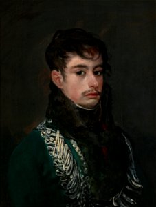 Francisco de Goya - Un Oficial, c.1804 (Frick Collection)