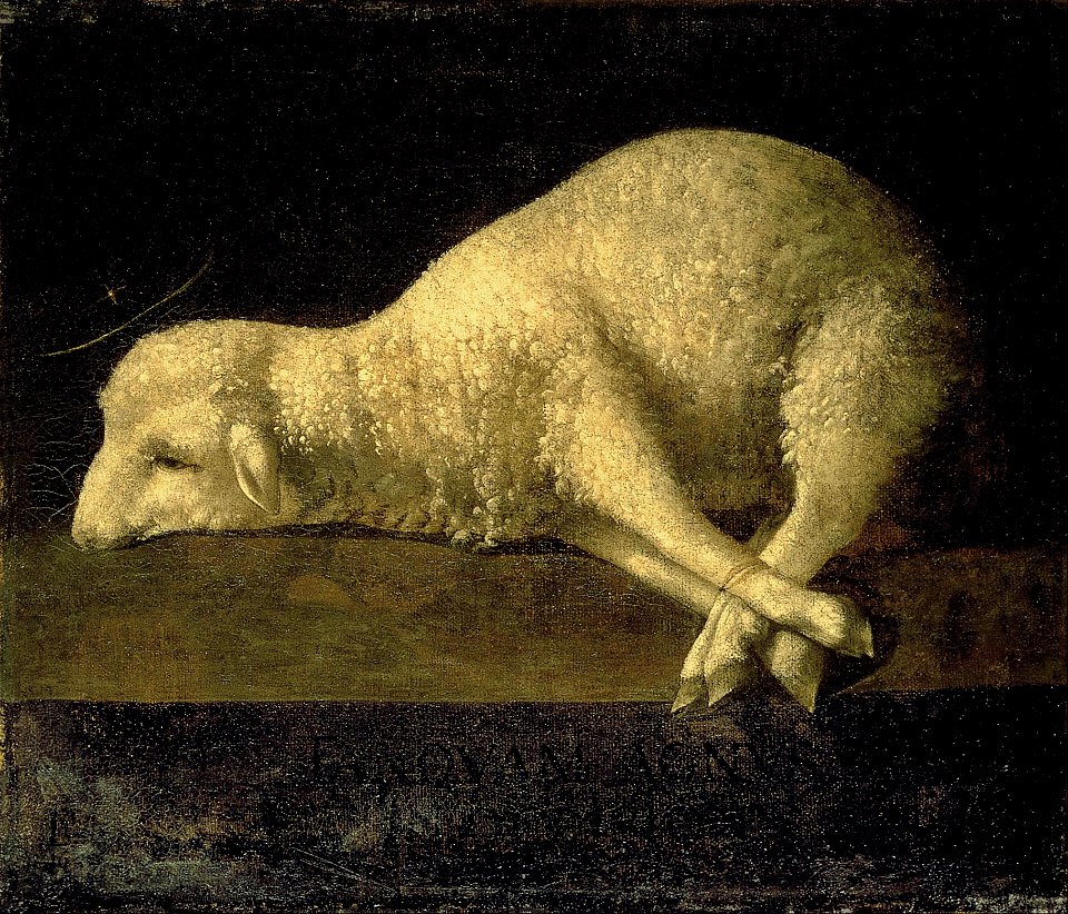 Francisco de Zurbarán - Agnus Dei - Google Art Project