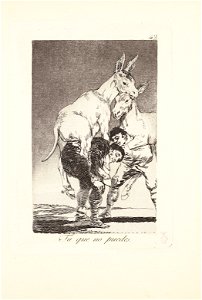 Francisco de goya y lucientes you who canst not plate 42 from los capr083706)