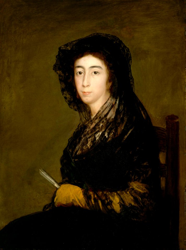 Francisco Goya - Dona Amalia Bonells de Costa - 41.80 - Detroit Institute of Arts