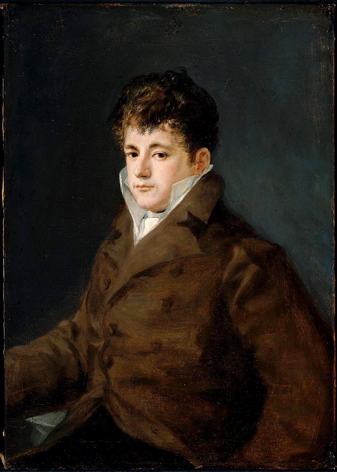 Francisco Goya y Lucientes - Portrait of a Young Man in Brown, possibly Javier Goya - 48.558 - Museum of Fine Arts